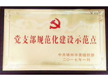  2017黨支部規(guī)範(fàn)化建設(shè)示範(fàn)ポイント
