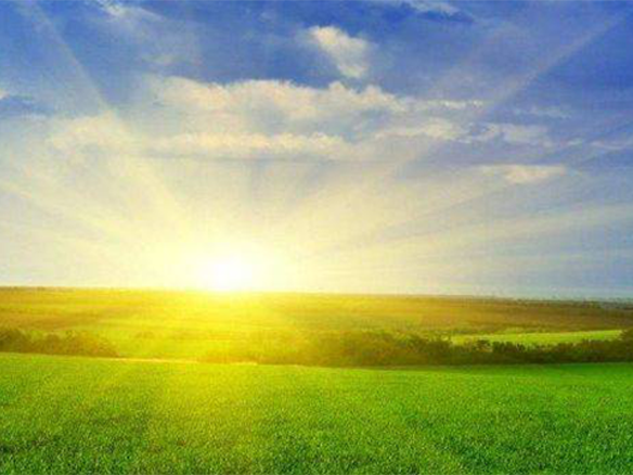 2020H1，錦州陽光戮力同心、運(yùn)營達(dá)滿產(chǎn)