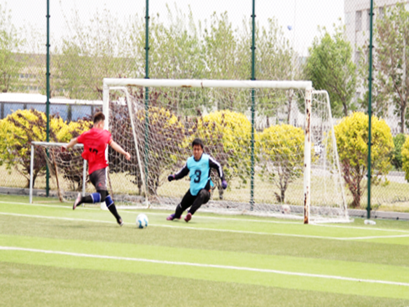 人文陽光 | 燃情綠茵場！陽光能源“陽光杯足球賽”正式開賽
