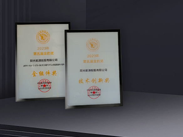 高光時(shí)刻 | 陽光能源獲N型TOPCon金組件獎(jiǎng)及技術(shù)創(chuàng)新獎(jiǎng)雙料獎(jiǎng)項(xiàng)